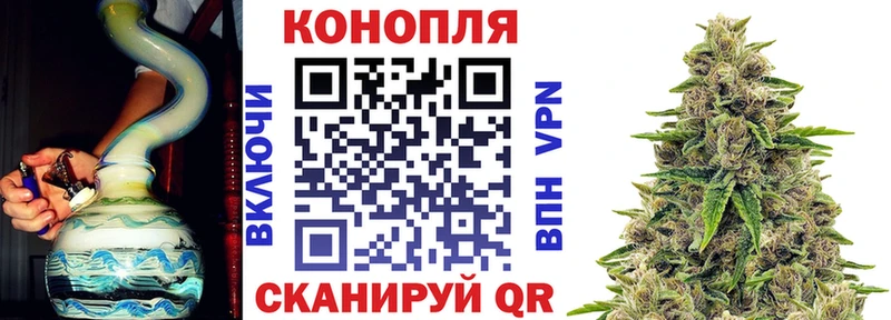 Шишки марихуана семена  закладки  Мурино 
